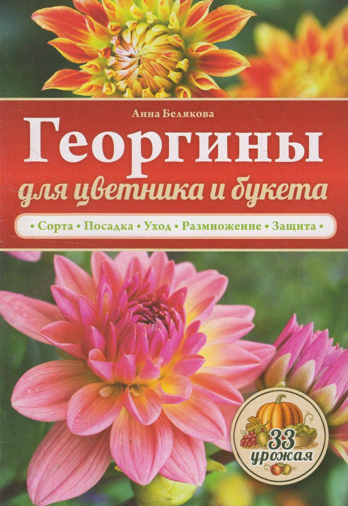 Георгины для цветника и букета #1