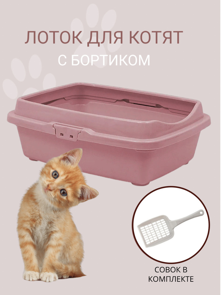 Туалет для котят с бортом DD Style, кошачий туалет, лоток для кошек с  совком, пепельно-розовый - купить с доставкой по выгодным ценам в  интернет-магазине OZON (388237175)