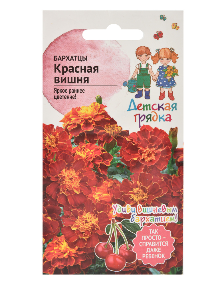 Бархатцы Красная вишня 10 шт Детская грядка / семена однолетних цветов / #1