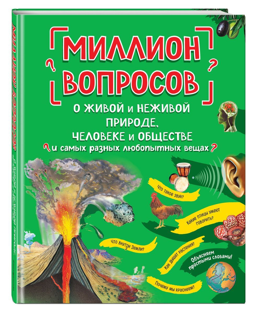 Миллион вопросов о живой и неживой природе, человеке и обществе и самых  разных любопытных вещах, 2 экз. - купить с доставкой по выгодным ценам в  интернет-магазине OZON (708232173)