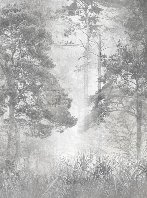 Фотообои GrandPik 10215 "Лес в тумане", 200х270 см(ШхВ) #1