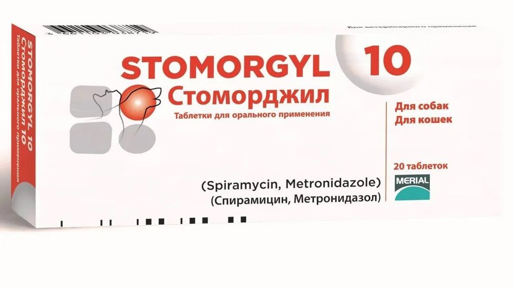 Стоморджил 10мг, 20 таблеток - купить с доставкой по выгодным ценам в ...