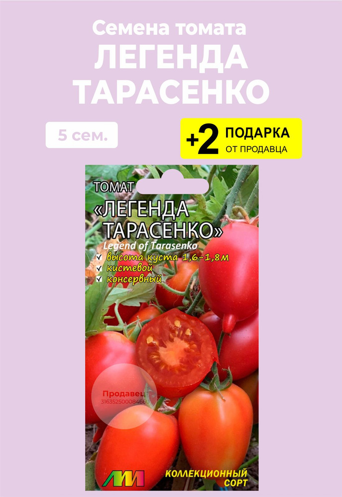 Помидоры сорт легенда тарасенко. Сорт томата легенда тарасенко описание. Легендарный тарасенко томат. Томат легенда тарасенко. Томат гибрид тарасенко.