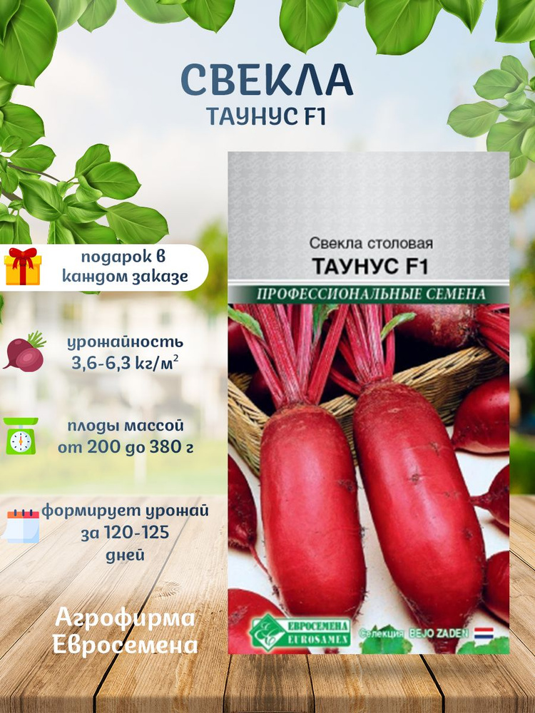 Евросемена Семена #1