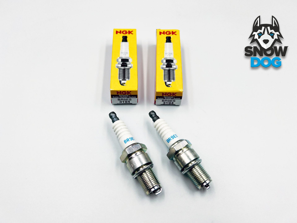 Комплект свечей зажигания NGK NGK 3194 BR9ES , 2 штуки - купить по ...