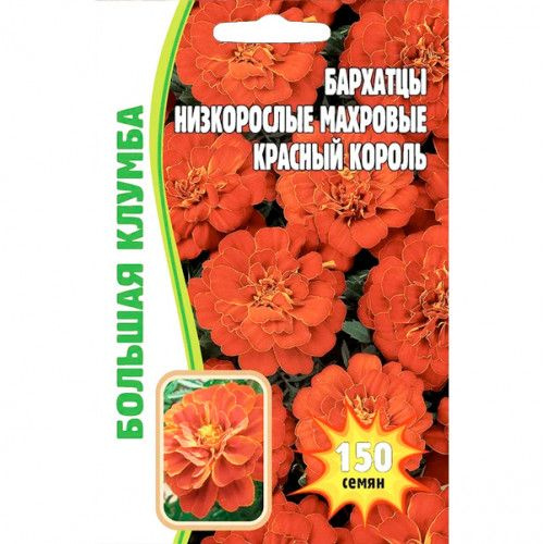 Клумбы из бархатцев и циний