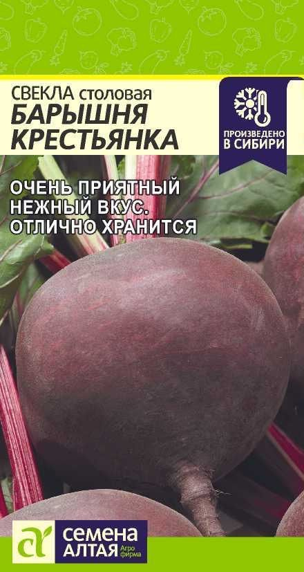 Свекла столовая БАРЫШНЯ КРЕСТЬЯНКА, 1 пакет, семена 2г, Семена Алтая, нежная мякоть  #1