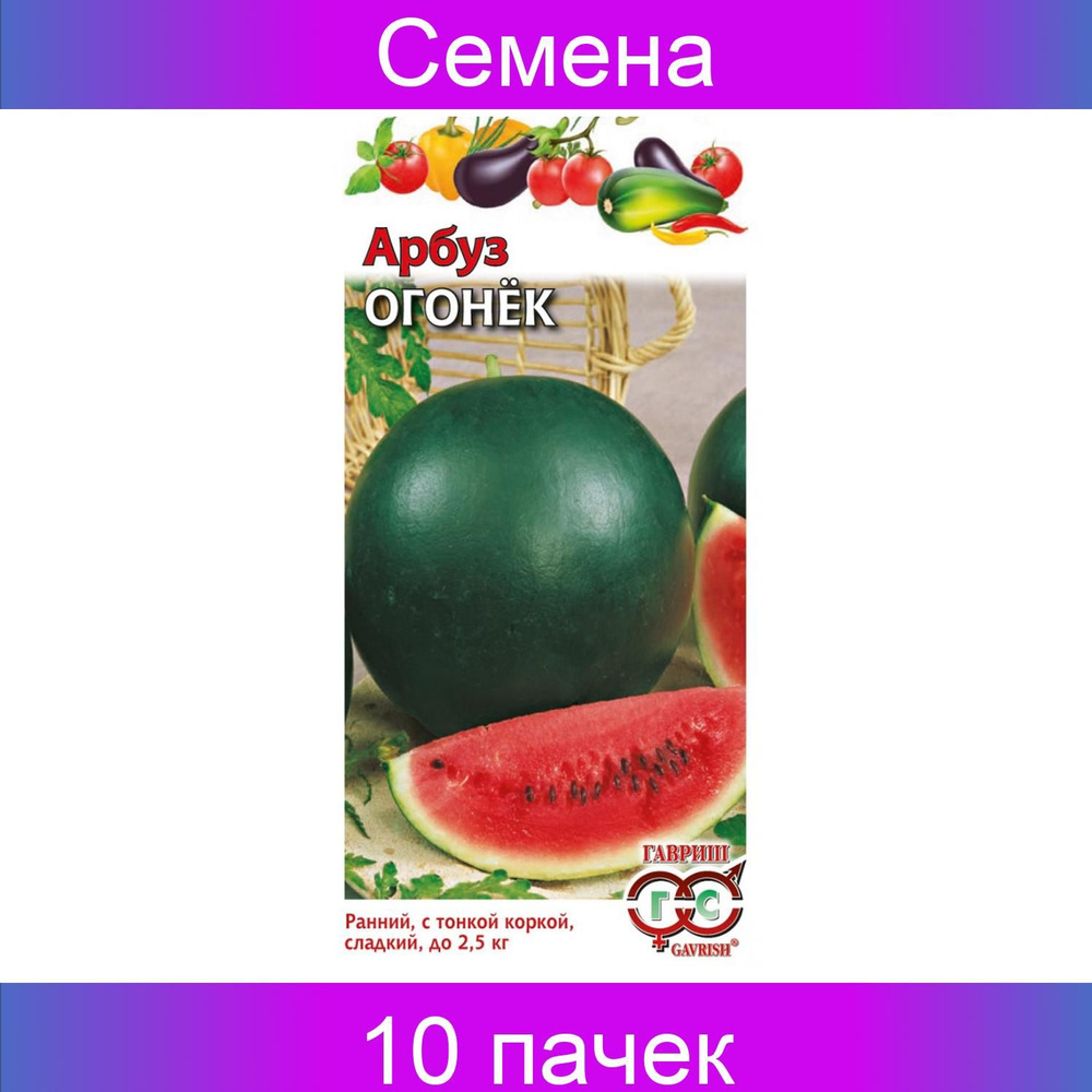 Арбуз Гавриш 702517 - купить по выгодным ценам в интернет-магазине OZON(842007030)