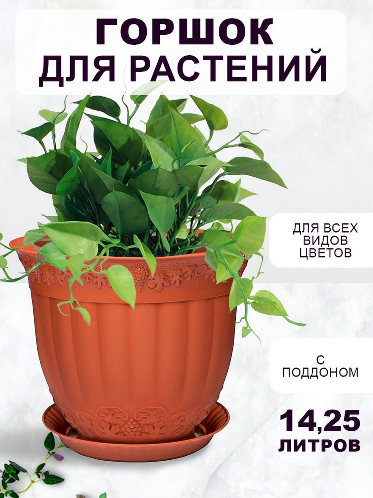 Горшок, кашпо для цветов, орхидеи, суккулентов, кактусов, фиалок ...