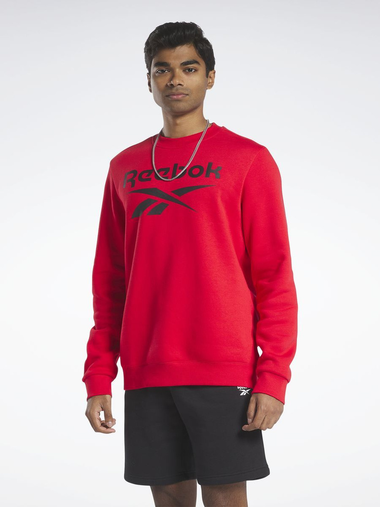 Свитшот Reebok IDENTITY BIG LOGO FLEECE CREW #1