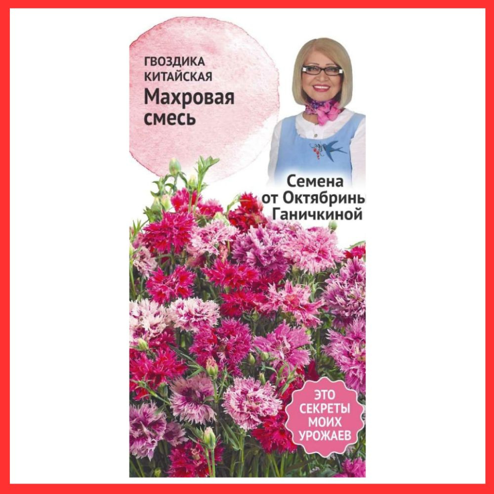 Гвоздики однолетние, Гвоздики многолетние АгроСидсТрейд Гвоздика Ганичкина  - купить по выгодным ценам в интернет-магазине OZON (883309176)