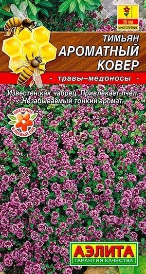 ТИМЬЯН АРОМАТНЫЙ КОВЕР. Семена. Вес 0,05 гр. Широко используется как пряность и лекарственное растение. #1