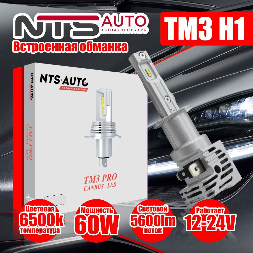 Лампа автомобильная NTS Auto 12В/24В, 2 шт. купить по низкой цене с  доставкой в интернет-магазине OZON (593074541)