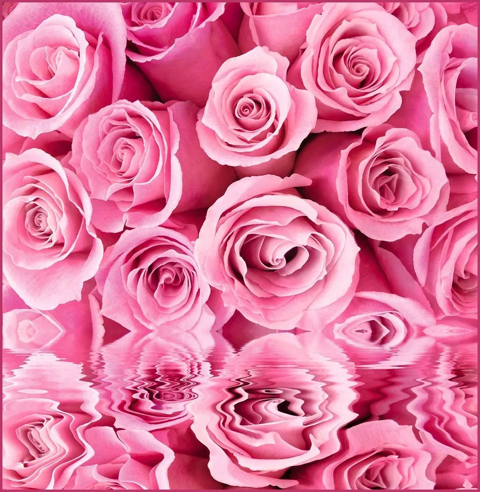 Фотообои глянцевые на стену Розовые розы 196*201 см #1