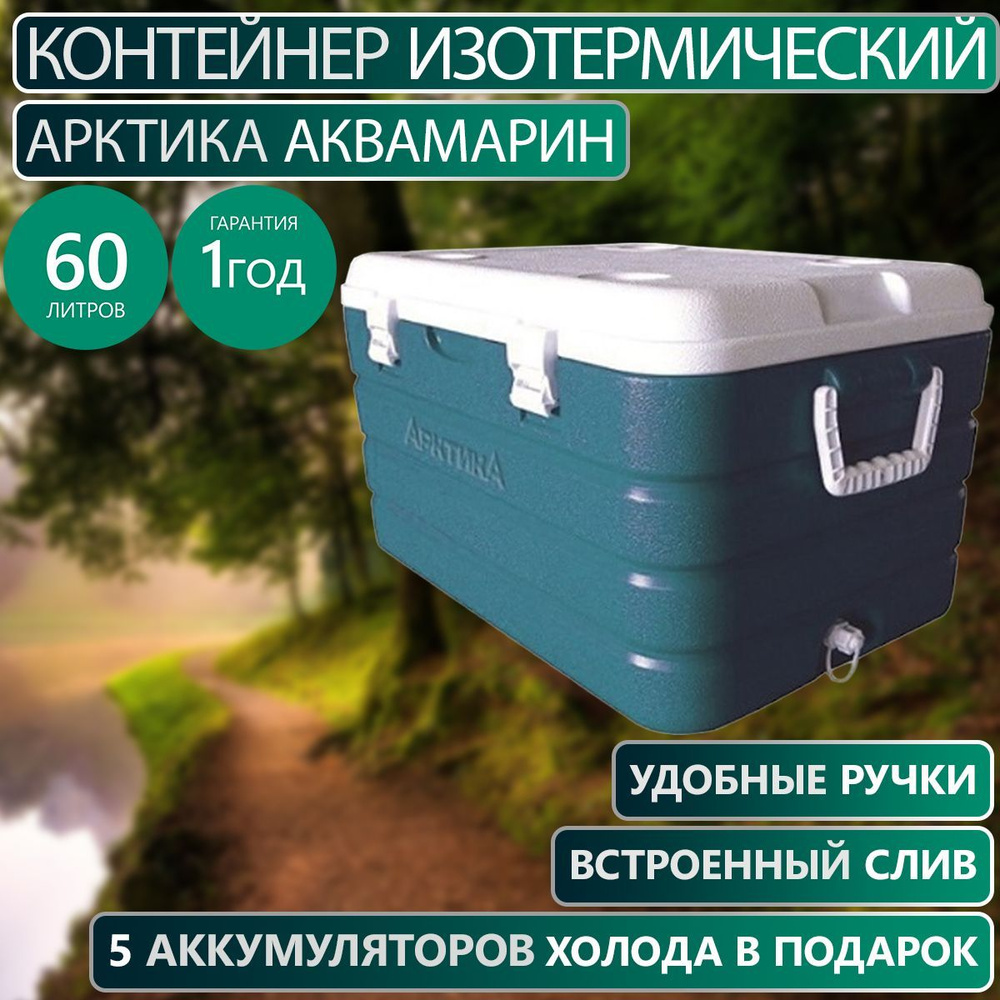 Контейнер изотермический АРКТИКА аквамарин 60л - купить с доставкой по ...