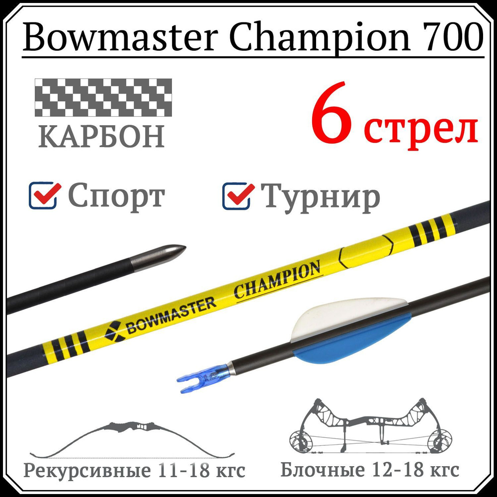 Спортивные карбоновые лучные стрелы Bowmaster Champion 700 (6 шт ...