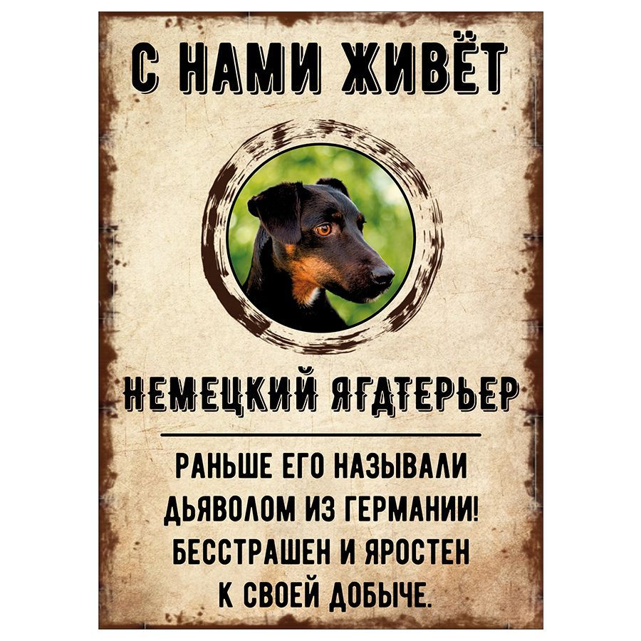 Табличка, декоративная, DANGER DOG, С нами живет Немецкий ягдтерьер, 18см х  25см