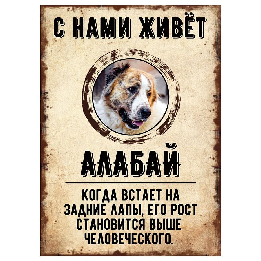 Табличка, декоративная, DANGER DOG, С нами живет Алабай, 18см х 25см  #1