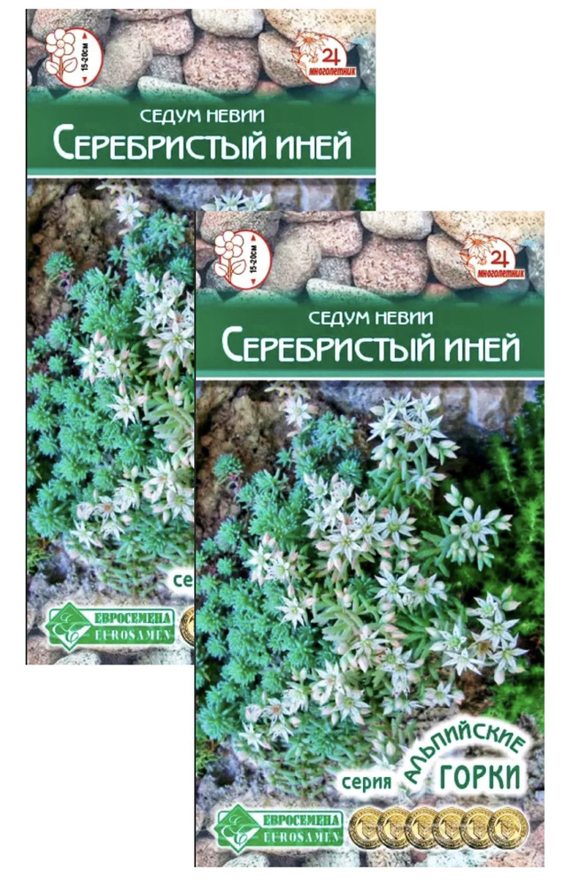 Седум (очиток) невии СЕРЕБРИСТЫЙ ИНЕЙ, 2 пакета, семена 10 шт, Евросемена  #1