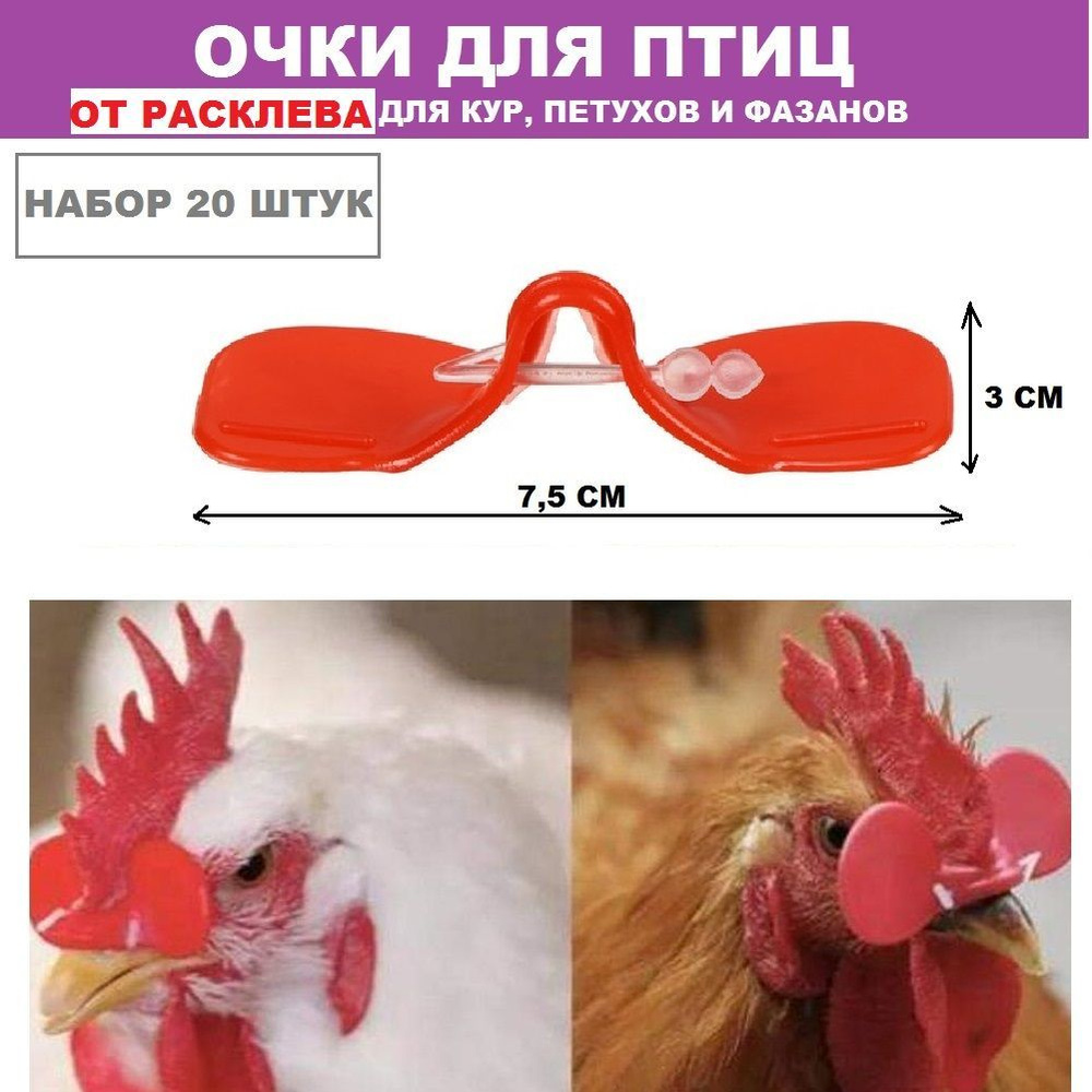Очки от расклева и каннибализма 75*30 мм для кур(20шт),перепелов ...