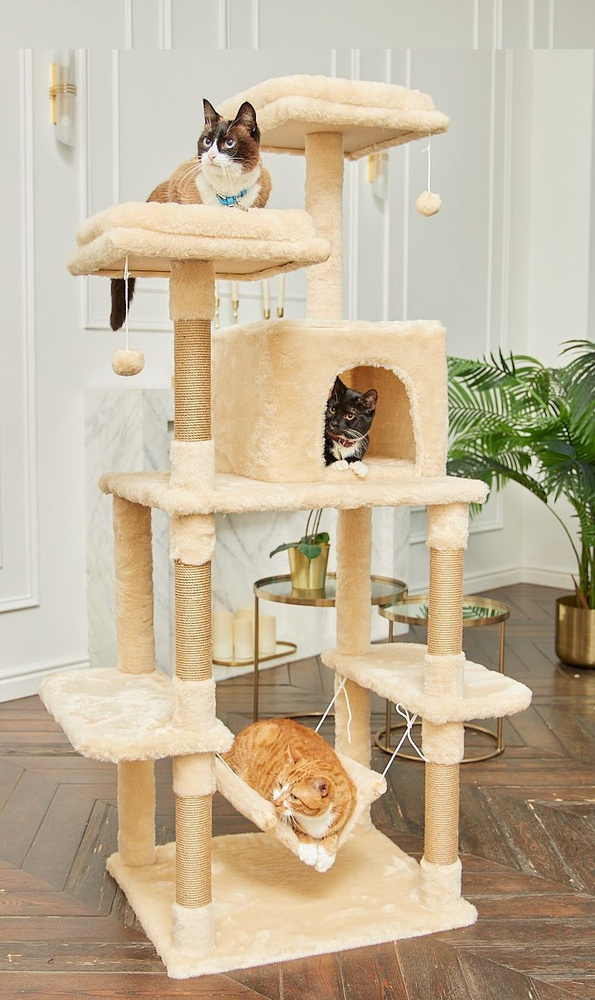 Домик для кошки с когтеточкой Комфорт One игровой комплекс нескольких  кошек с лежаком, с гамаком - купить с доставкой по выгодным ценам в  интернет-магазине OZON (899048632)
