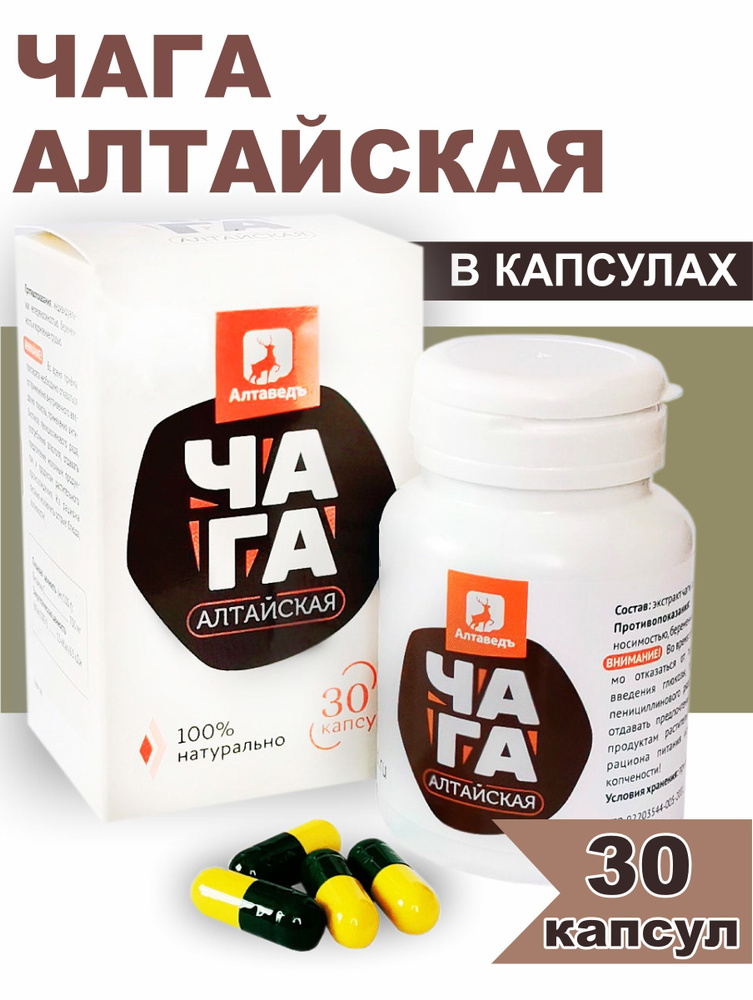 Чага Алтайская, концентрат пищевой на основе растительного сырья ...