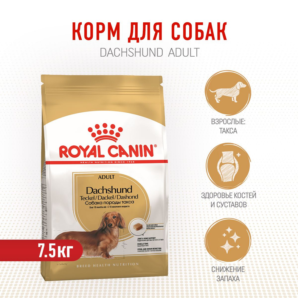 Royal canin dachshund adult dry hot sale dog food