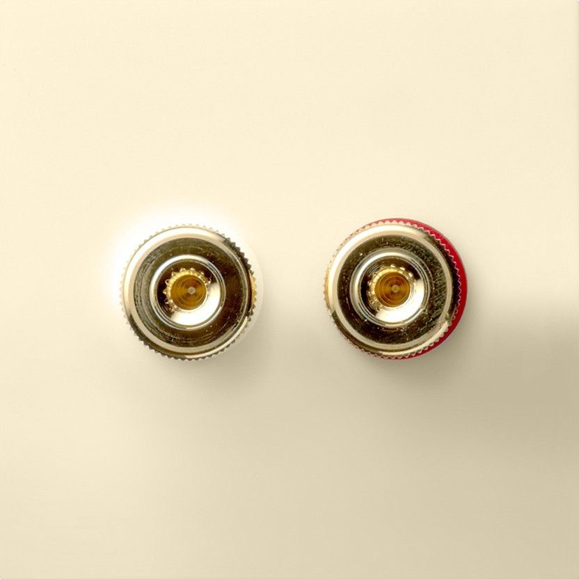 Разъем WBT (плюс.минус) для подключения акустических систем класса High ...