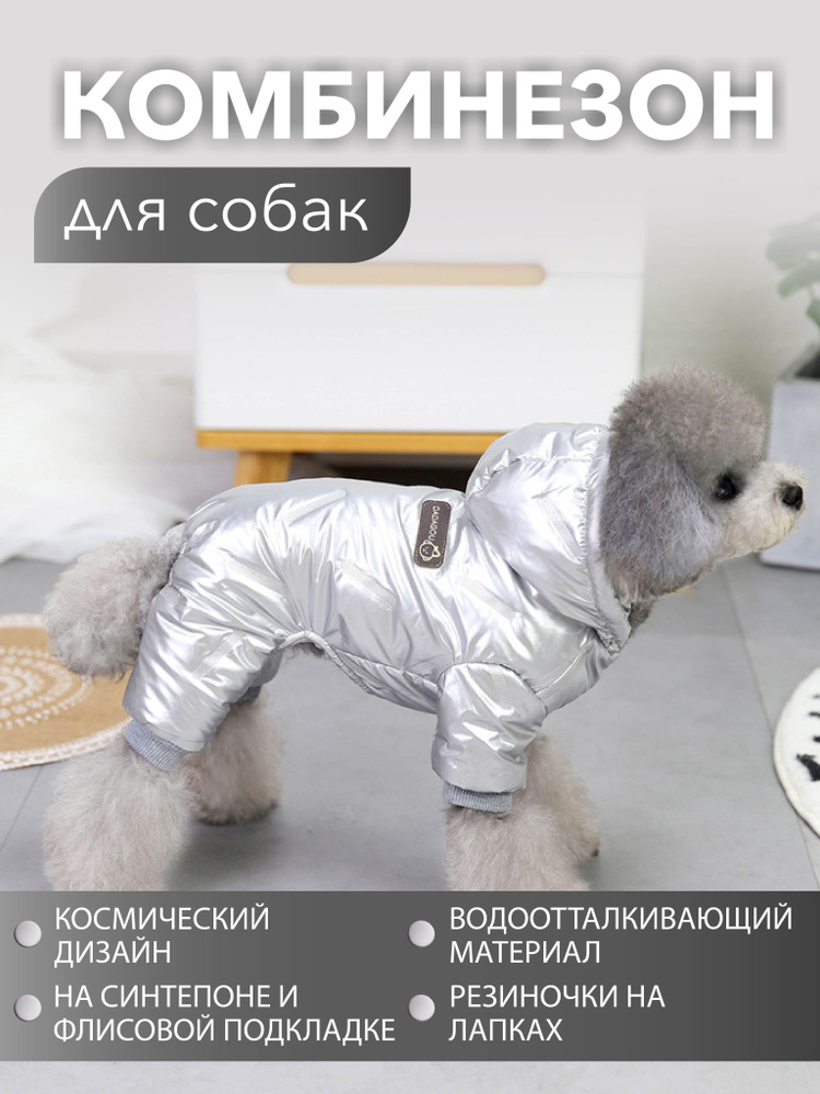 Одежда для животных #1