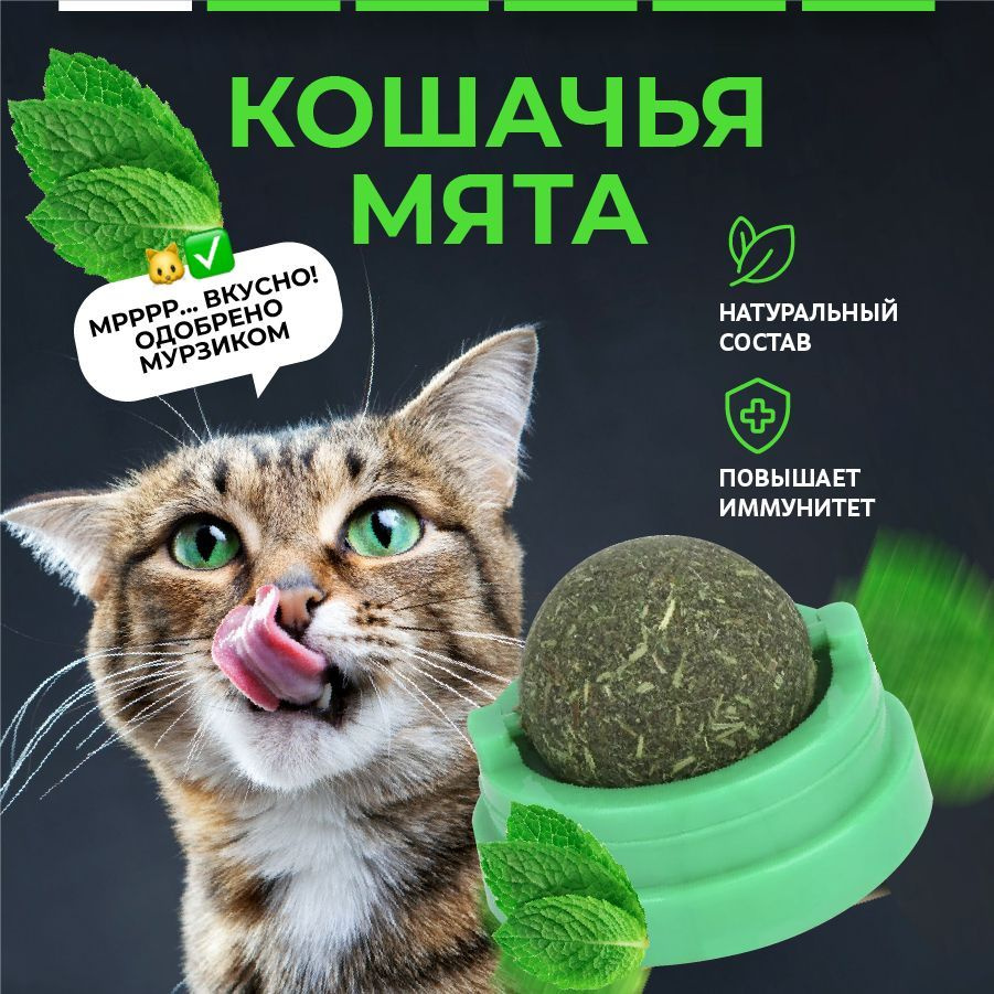 Кошачья мята шарик - трава для кошек и котов лакомство - купить с доставкой  по выгодным ценам в интернет-магазине OZON (1192795480)