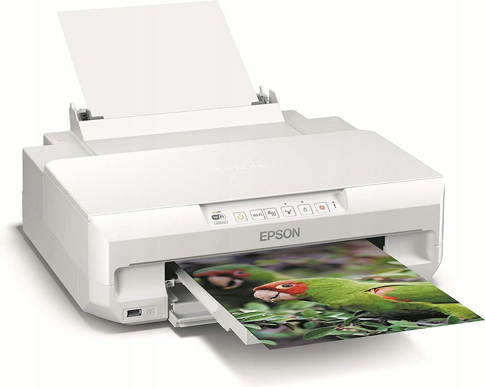 Купить принтер xp. Epson XP-55. Epson 55 сканер. Принтер 11 цветные. Перепрошивка принтера.