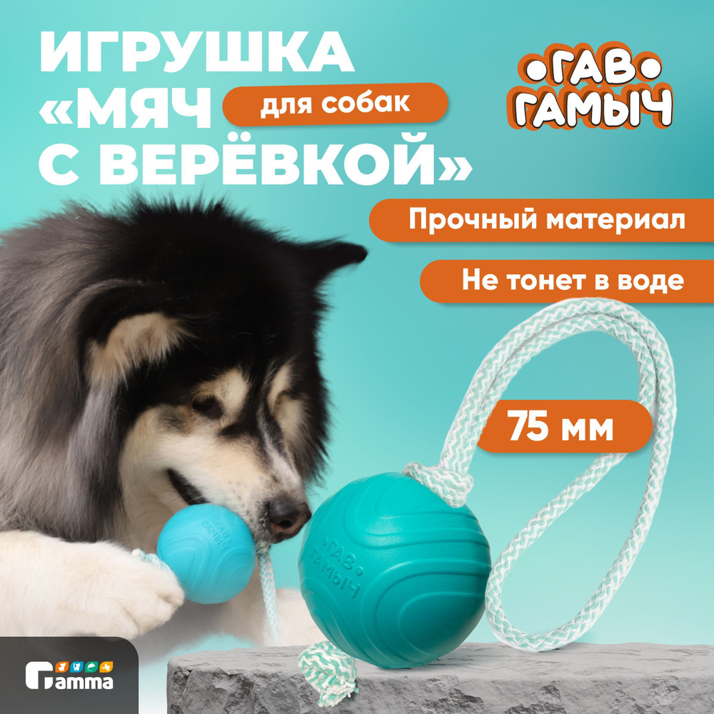 Игрушка для собак "Мячик с веревкой", 75мм, серия ГАВ ГАМЫЧ Gamma  #1