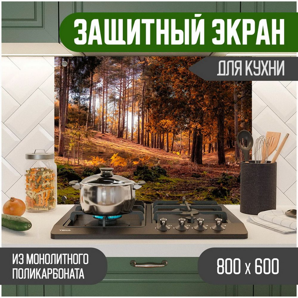 Фартук для кухни на стену, кухонный фартук, панель на кухню с фотопечатью из поликарбоната. Стеновые #1