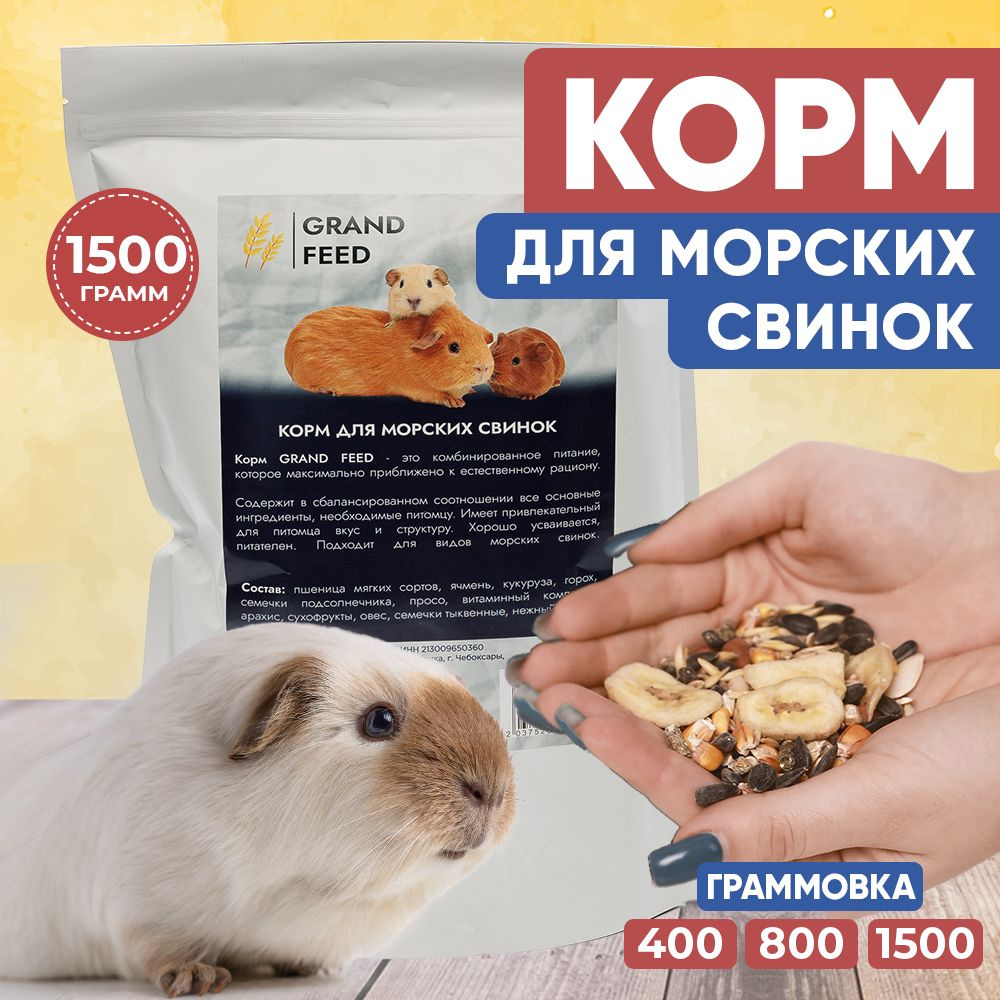 Корм сухой для Морских свинок GRANOFEED 1500г - купить с доставкой по  выгодным ценам в интернет-магазине OZON (879363386)