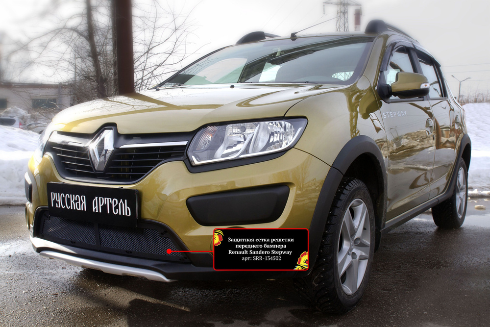 Защитная сетка решетки переднего бампера Renault Sandero Stepway 2014 - 2022 г.  #1