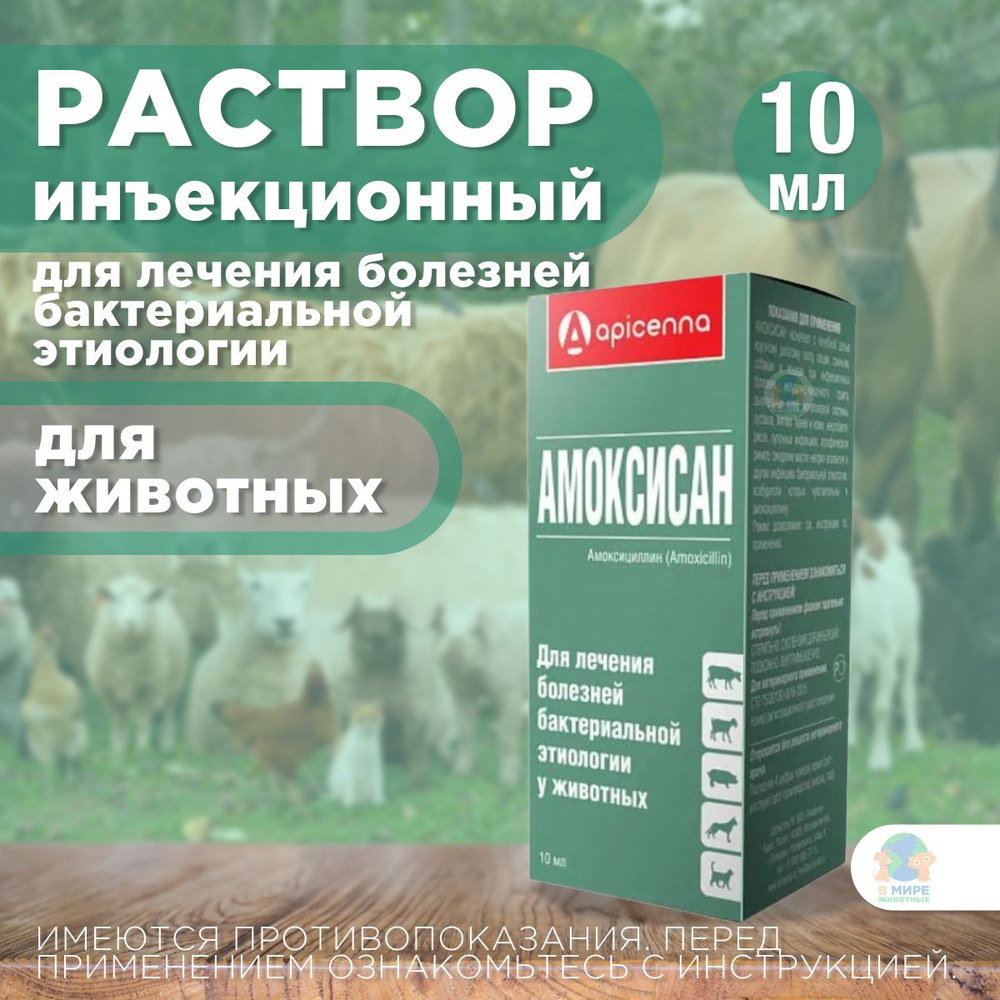 Раствор антибактериальный Амоксисан Apicenna, для инъекций животным, 10 мл. Амоксициллин.  #1