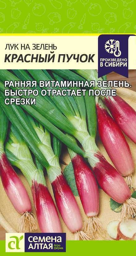 Лук на зелень "Красный Пучок" семена Алтая для открытого грунта и теплиц, 0,5 гр  #1