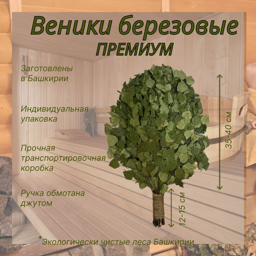 Веник березовый 6 шт в картонной коробке, ручка обмотана джутом - Веник ...