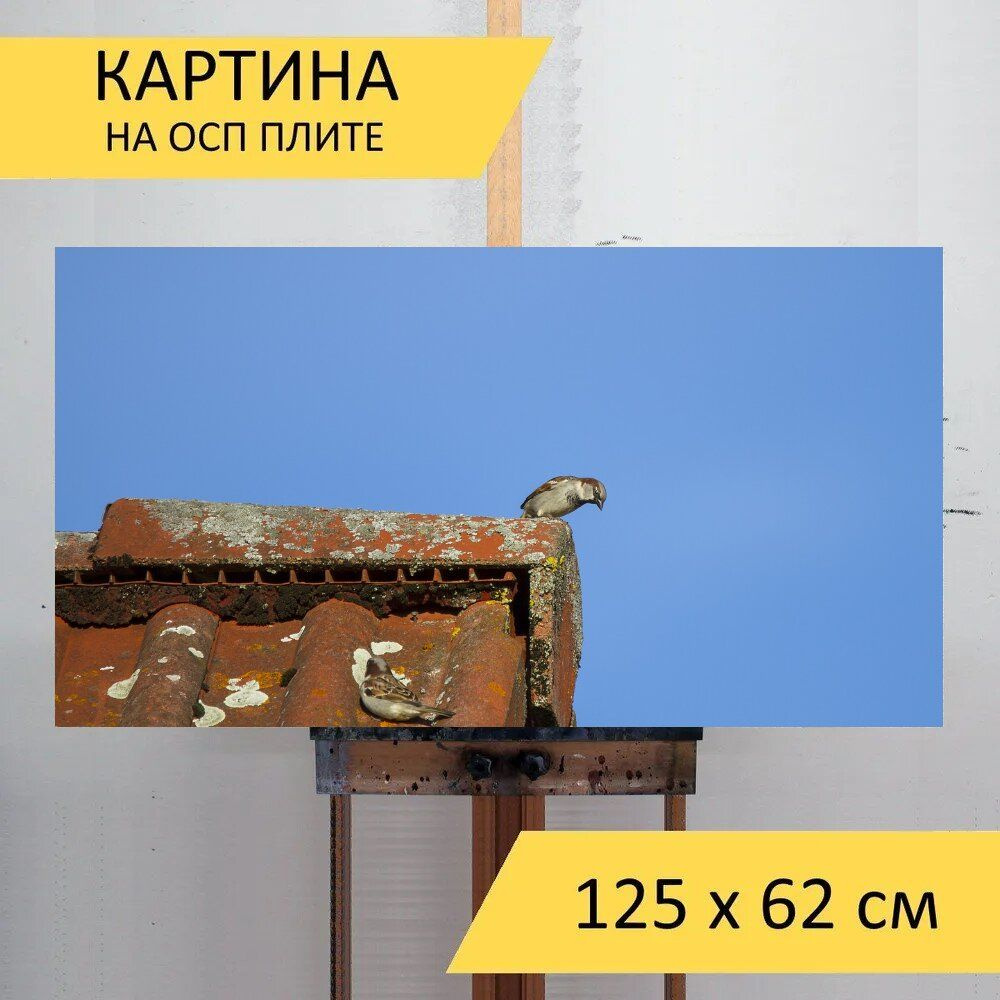 Картина птиц 