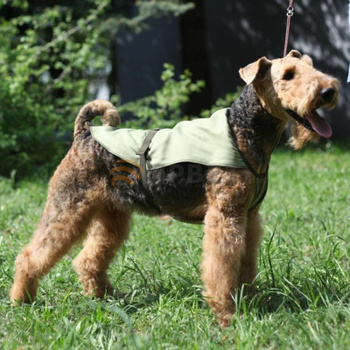 Ruffwear OZON