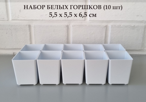 Горшки для суккулентов. Набор горшков 5,5 см х 5,5 см х 6,5 см, 0,15 л ...