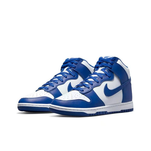 Nike 2025 dunks high