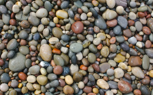 Клюквенное поле счастливый амулет 1: как найти свой личный магнит для удачи