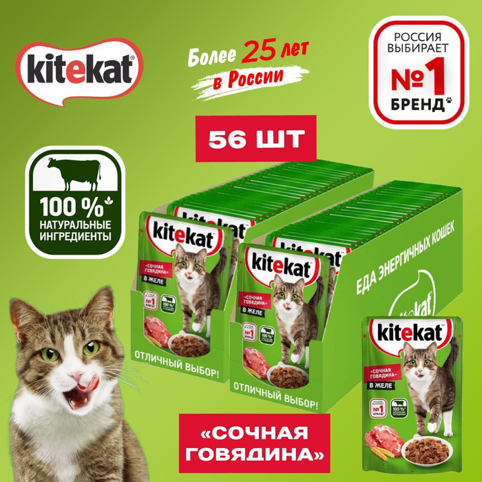 Влажный китикет. Kitekat влажный в желе. Китикет для котят влажный.