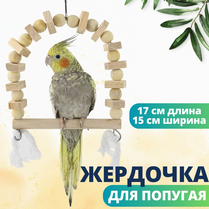 Качели для попугаев и птиц, жёрдочка для попугая деревянная - купить с ...