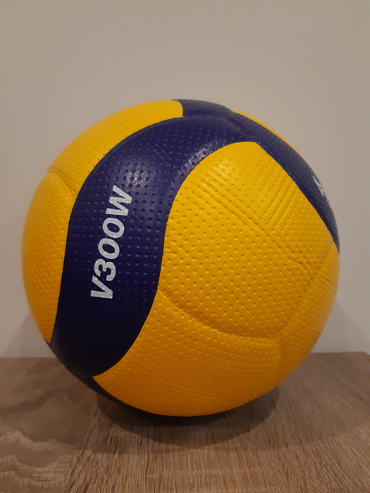 Mikasa Volleyball v200