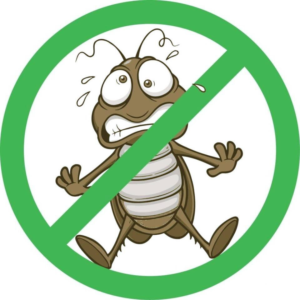 Дезинсекция от тараканов. Дезинсекция тараканы клопы. Эмблема насекомые для детей. Дезинсекция значок. Стоп таракан.