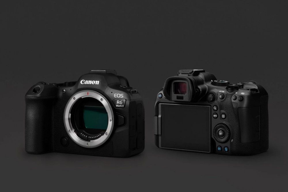 Фотоаппарат Canon EOS R6 Mark II Body купить на OZON по низкой цене ...