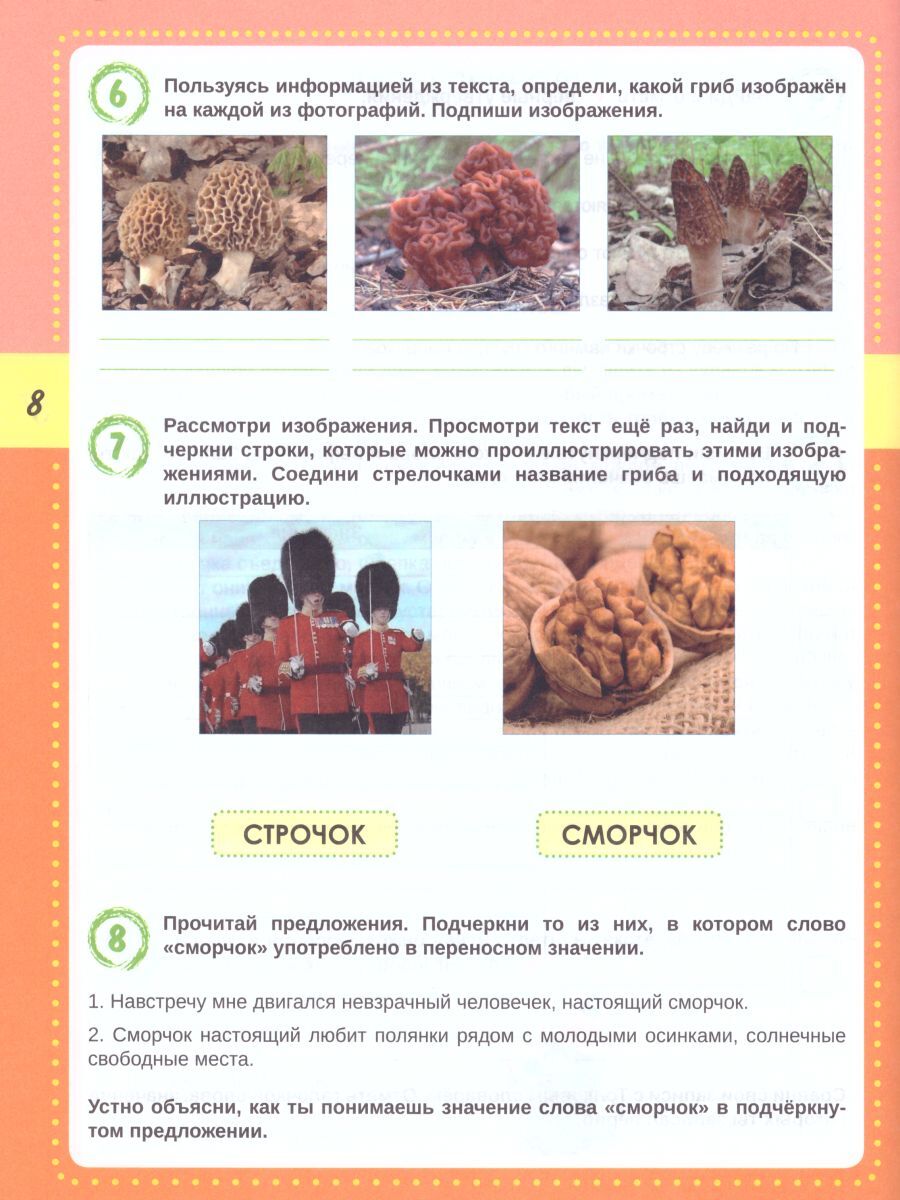 Смысловое чтение 3 класс. Тренажёр для школьников | Reading VPR Practice Tests, Grade 3 - Ozon image 1
