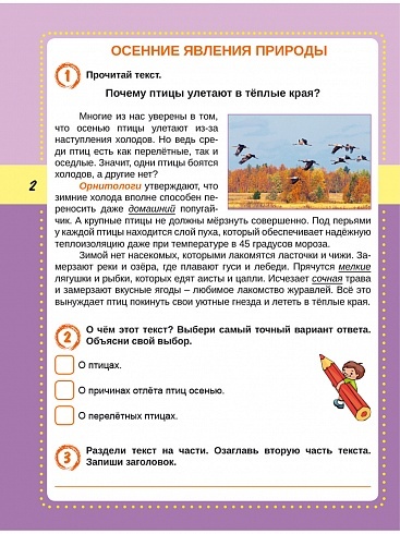 Смысловое чтение 2 класс. Тренажёр для школьников | Reading VPR Practice Tests, Grade 2 - Ozon image 2